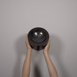 HANNA FASTRICH