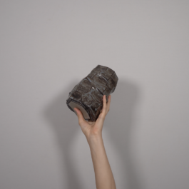 HANNA FASTRICH