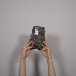 HANNA FASTRICH