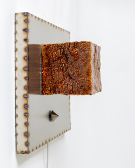 HANNA FASTRICH