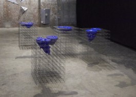 HANNA FASTRICH